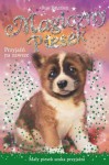 magiczny-piesek-przyjazn-na-zawsze-maly-piesek-szuka-przyjazni-1.jpg