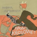 paw-krolowej-186643-1.jpg