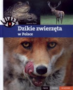 Dzikie zwierzęta w Polsce