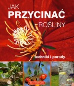 Jak przycinać rośliny. Techniki i porady