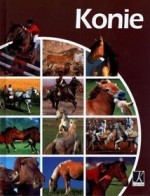 Konie
