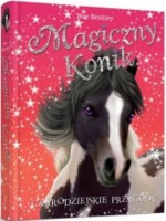 Magiczny konik. Czarodziejskie przygody