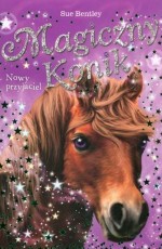 Nowy przyjaciel. Magiczny konik