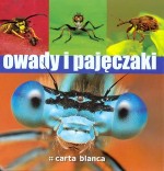 Owady i pajęczaki